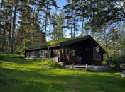 Отдых в лесу