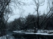 Прогноз погоды в Украине на 20 декабря: без существенных осадков