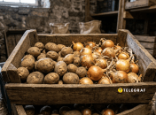 Лук и картофель нельзя держать в одном ящике
