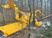 Літак, який впав у Польщі