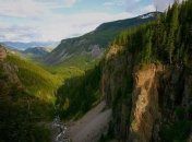 В Сирии решают проблему защиты лесов от насекомых-вредителей