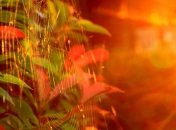 Прогноз погоды на 27 сентября: на западе дождь и понижение температуры