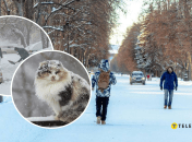 Зима в Украине