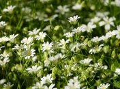 Приметы и поверья на 6 мая 2020 года, что категорически запрещено делать