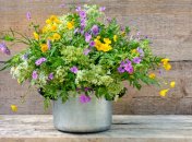 10 июля. Приметы дня