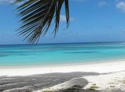 Миллиардер из Египта готов купить остров для европейских мигрантов