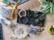 Этот процесс требует осторожности