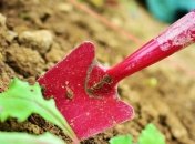 Садовод после смерти взорвал две бомбы, отправленные в посылках