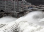 Десятки тысяч домов остались без электричества в Южной Корее