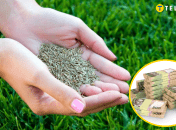 Ілюстрація