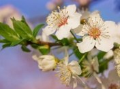 Придет ли весна в марте?