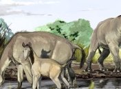 Вымирание млекопитающих в миллионы раз обгоняет их эволюцию