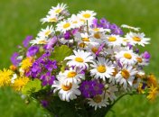 31 июля. Приметы дня