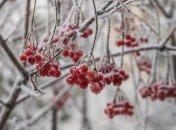 Погода на неделю: в Украину идет потепление с дождями мокрым снегом