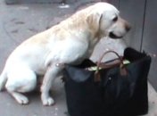 В Херсоне предотвратили террористические акты