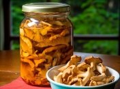 Якщо ви не знали, що зробити з грибочками