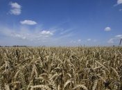 Сегодня в Украине День работников сельского хозяйства 