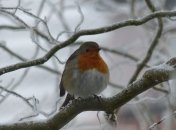 6 февраля - приметы и обряды в День Ксении