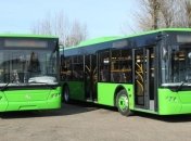 В Украине подсчитали число нарушений ПДД: цифры неутешительные