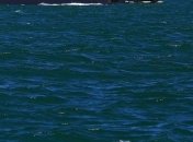 В Аравийском море раскололся и затонул контейнеровоз с украинцами