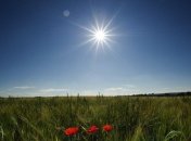 Британские синоптики считают, что 2013-й год будет теплее 2012-го