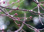 Прогноз погоды в Украине на сегодня: ожидают похолодание