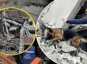 Коллаж "Телеграфа"