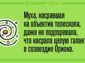 Утренняя порция лучших шуток: смешные анекдоты 6 июня