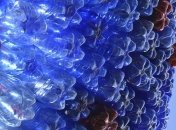 Миф о долговечности пластика опровергли