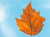  2 вересня - свято, що категорично заборонено робити, головні прикмети