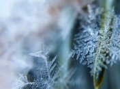 Какой завтра праздник: обычаи и традиции на 1 декабря