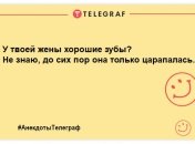 Заряджаємось позитивним настроєм: гуморні жарти на день