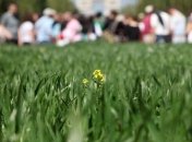 Киевский совет вернул городу 8 га на Венецианском острове