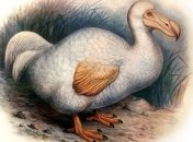 Ученые: Люди изменили ход эволюции так, как никогда не прогнозировалось 