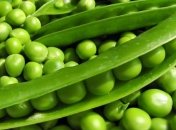 Горох защитит от болезней сердца и почек
