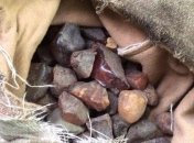 Пограничники нашли в автобусе почти 7 килограмм янтаря (Видео)