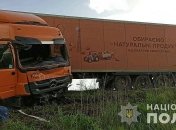 Смертельное ДТП на Ровенщине: виновник установлен (Фото, Видео)