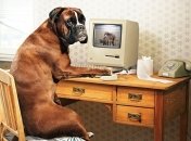 Зависимость от компьютера таит опасность!