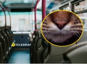 Пассажиров маршрутки во Львове позабавил "кондуктор"