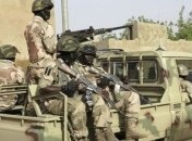 Военные Нигерии провели операцию против "Боко харам": за месяц ликвидировали 75 боевиков