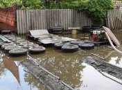 "Бассейны" в жилых домах и могилы под землей: жуткие последствия потопа в Днепре (фото)