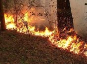 Спасатели предупредили о высоком уровне пожарной опасности в Украине