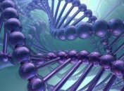 Ученые заявляют, что память об инфаркте сохраняется в генах