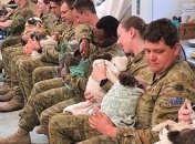 Австралийские военные приходят кормить спасенных коал