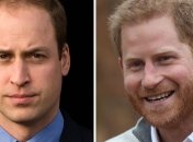 Принц Уильям прокомментировал скандальное заявление герцогов Сассекских
