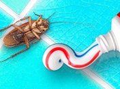 Также помогут помочь некоторые жидкости для полоскания рта