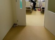 На Волыни мужчина избил жену за то, что она "забыла" о ребенке