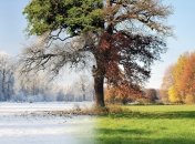 На півночі 25 градусів морозу, на півдні — 12 тепла: Україна опинилася в центрі метеорологічного парадоксу