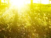 Какая погода ожидает украинцев весной и летом?