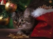 Новый год 2019: что категорически нельзя дарить в этот праздник 